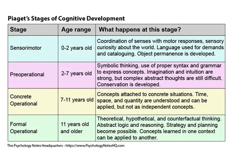 5 stages of cognitive development.